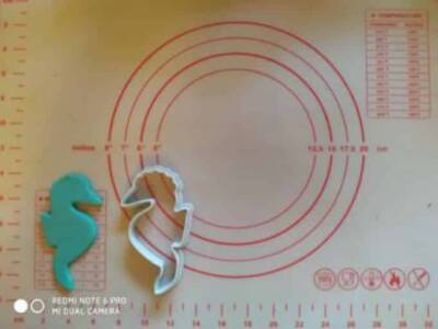 Κουπάτ Ιππόκαμπος